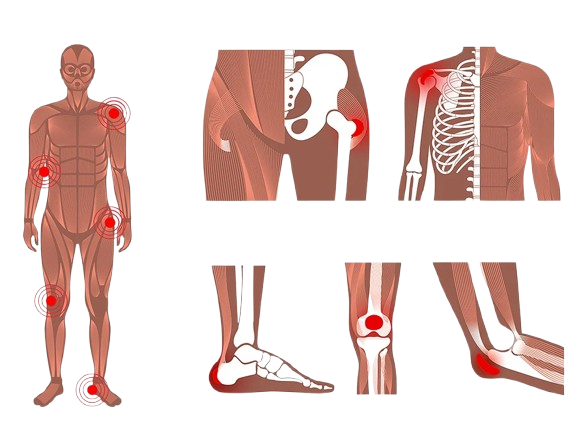 Orthopaedic-Surgery-cost-in-India